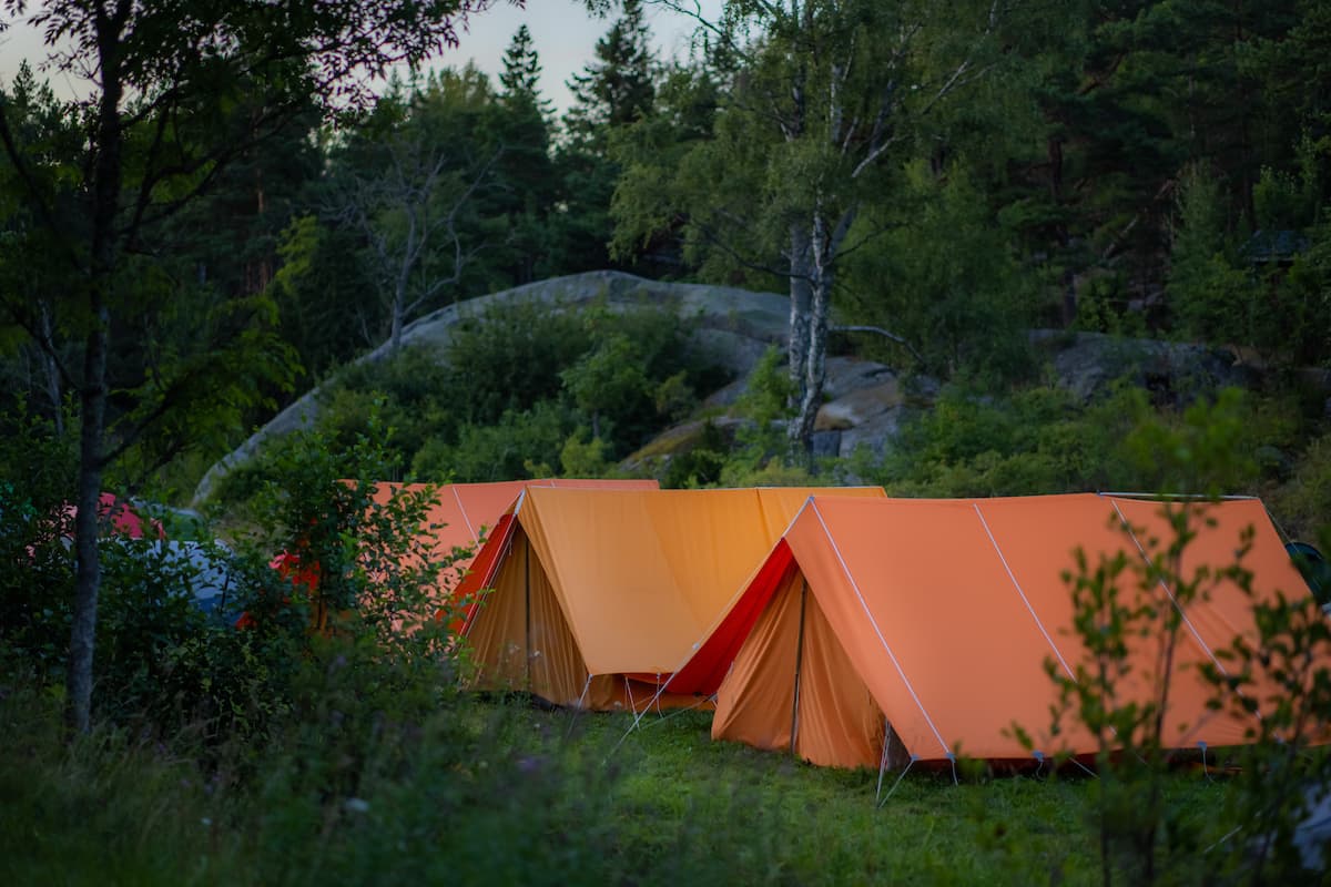 Tre orangea tält står i på en gräsmatta med träd omkring
