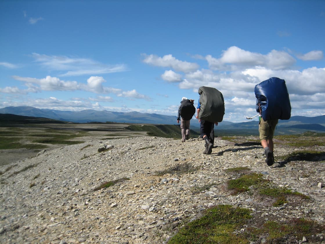 Blå Hajken