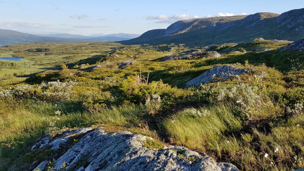 Friluftsledarkurs Sommarfjäll del 2 & Fjälltur för gäster