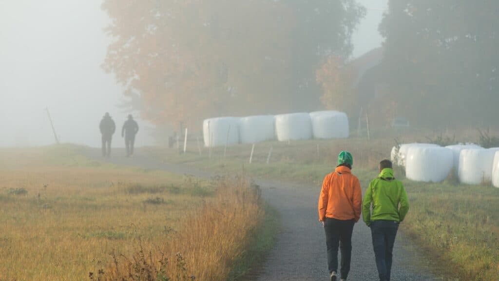 Leda scouting i korthet - Borlänge