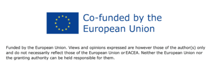 EU Disclaimer