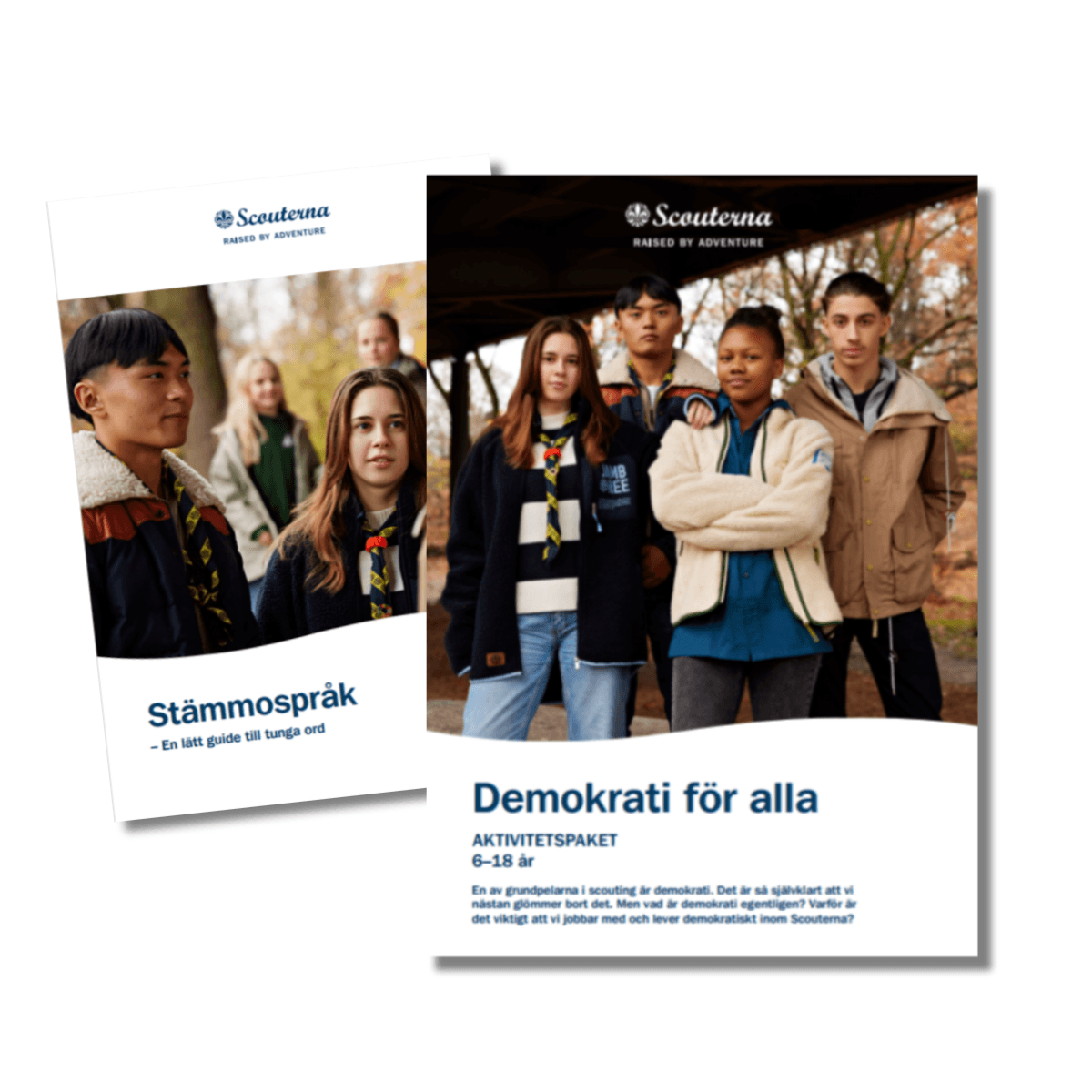 Demokratiskola bild på material
