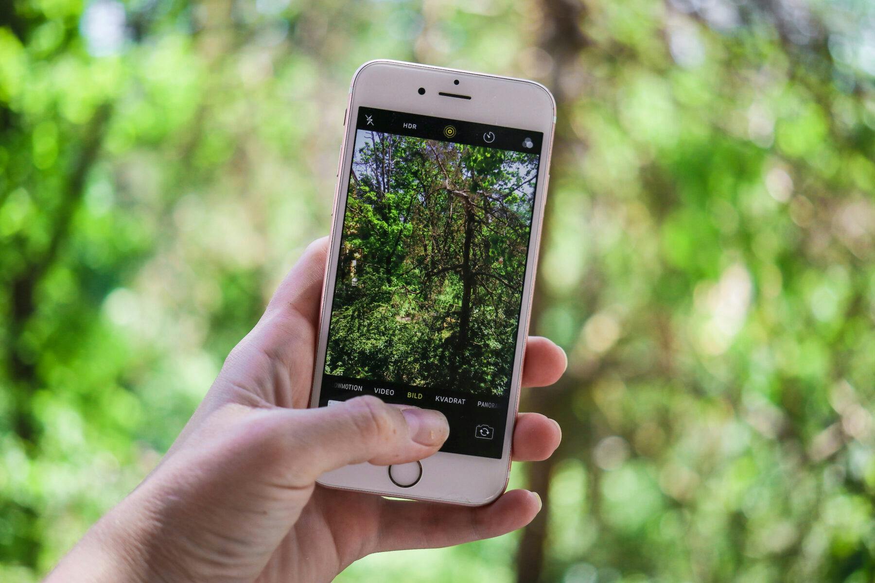 En mobil fotograferar grönska.