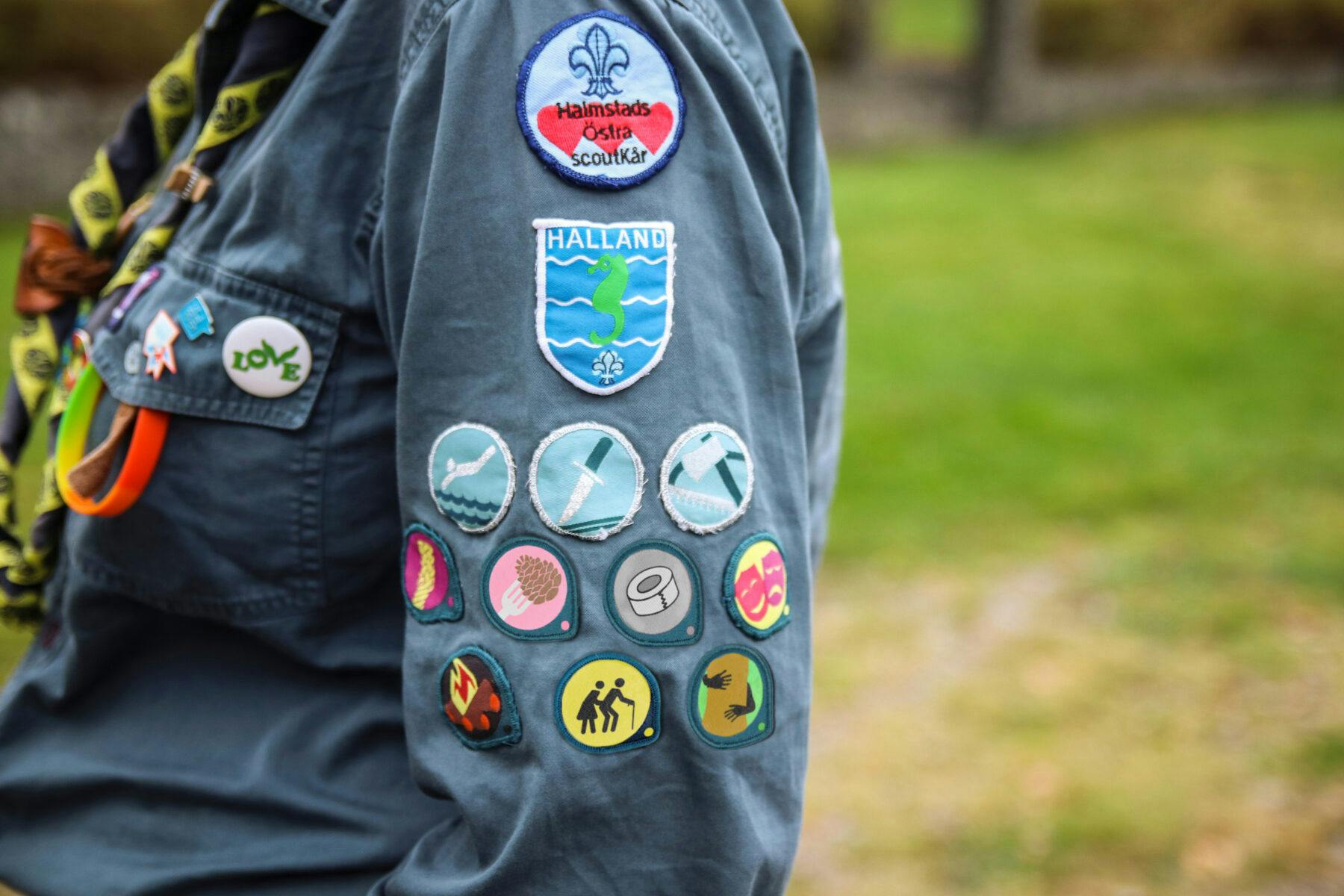 Scouterna lanserar fyra nya intressemärken: Trädkramar-märket, silvertejpsmärket, hjälpa tanter över gatan-märket och laga mat med kottar-märket
